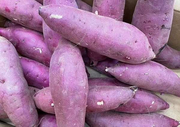 Khoai lang Nhật xách tay gần triệu đồng/kg ngon cỡ nào?