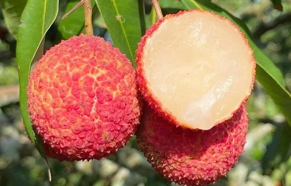 Vải thiều 700.000 đồng/kg đổ bộ chợ Việt ngon cỡ nào? 