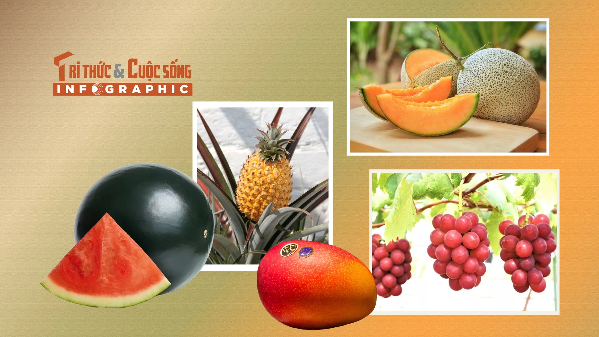 INFOGRAPHICS: 5 loại quả đắt nhất thế giới 