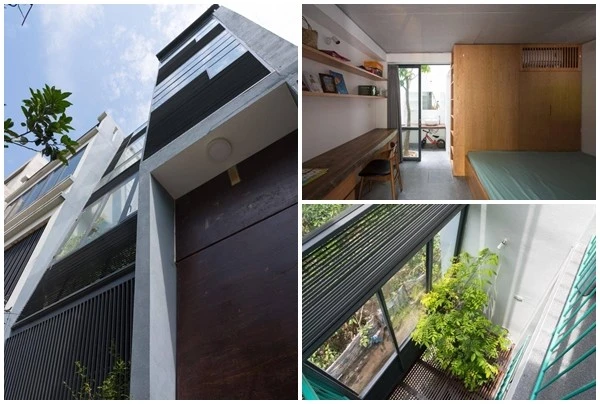 Chỉ 36m2, nhà phố Hà Nội vẫn ngập gió và ánh sáng 