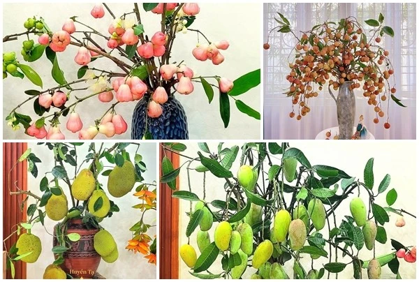 Những bình quả lạ trang trí nhà đẹp mê mẩn đang gây sốt 