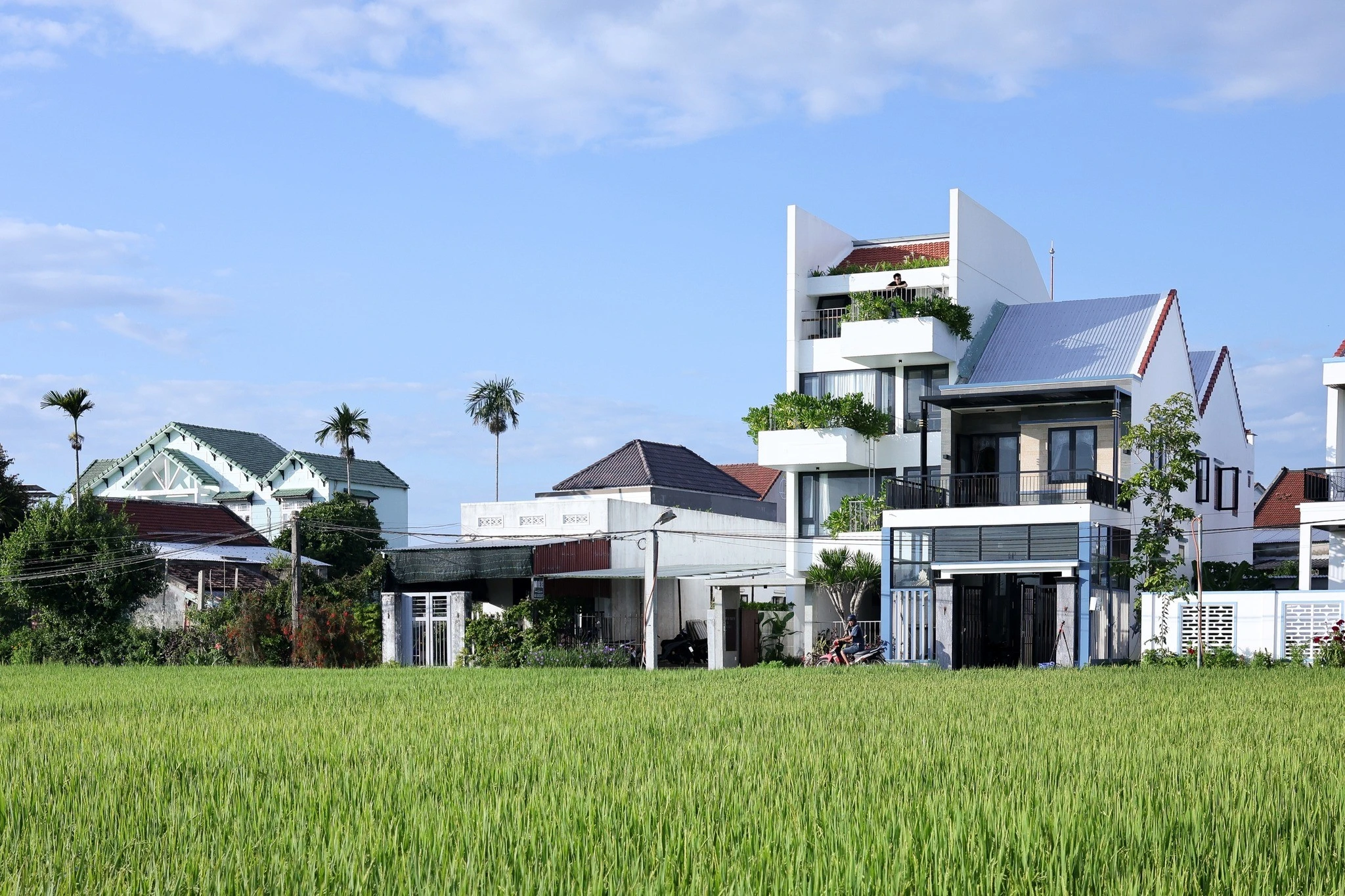 Nhà phố mát lịm nhờ giếng trời và ban công xanh mướt