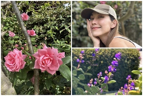 Bên trong nhà vườn ngập rau trái của "Út Ráng" Kim Hiền tại Mỹ 