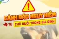 Trẻ 3 tuổi bị chó nhà cắn nguy kịch, cảnh báo nguy hiểm tiềm ẩn từ vật nuôi