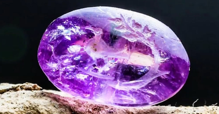 Trên viên đá này có hình khắc độc đáo, bao gồm hình một con chim và một cành cây có năm quả. Loại cây được khắc trên viên đá này có thể là cây hồng nổi tiếng được nhắc đến trong Kinh thánh Talmud. Ảnh: @Cơ quan Cổ vật Israel.