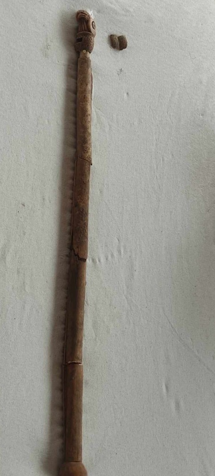 Cây quyền trượng dài 38 cm với phần đầu nhẵn làm từ hai mảnh xương dán lại với nhau. Phần đầu còn lại có đầu hình chim với mỏ cong. Nhìn từ một bên, nó trông giống mỏ đại bàng, một loài vật có ý nghĩa nghi lễ quan trọng đối với người Scythia cổ xưa. Ảnh: @Bảo tàng Lịch sử Provadia.