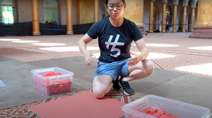 Lily Hevesh đã phát triển tình yêu dành cho domino từ năm 10 tuổi, do cô bị thu hút bởi phản ứng dây chuyền và các thiết kế phức tạp. Ảnh: @guinnessworldrecords.