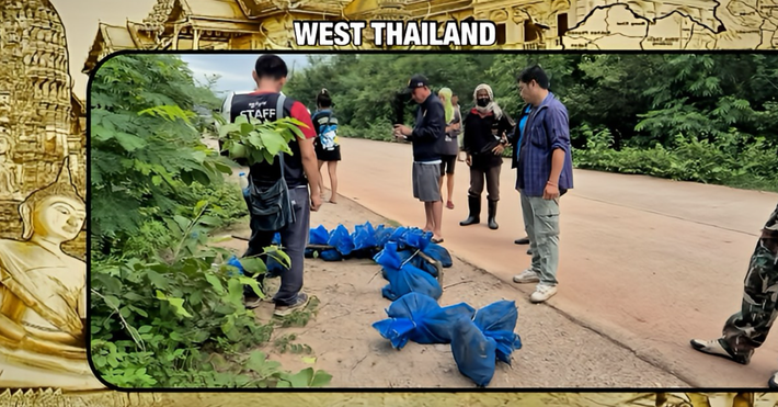 Cuối cùng, điều khiến Prae Kumkoet kinh ngạc đó là, những gì anh ấy tìm thấy lại là những chiếc túi lưới màu xanh dương nằm giữa những tán lá xanh tươi, mỗi chiếc túi này chứa một đến ba con khỉ đuôi dài non, chúng bị nhốt trong đó với trạng thái cực kỳ sợ hãi và kêu la thảm thiết. Ảnh: @thai.news.