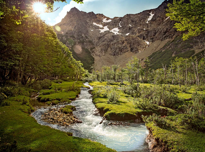 Khi tiến hành khai quật tại hệ tầng La Matilde ở Patagonia, thuộc Estancia La Matilde, Patagonia, Argentina, các nhà cổ sinh vật học đã bất ngờ phát hiện ra một tàn tích khảo cổ kỳ lạ. Ảnh: @Condé Nast Traveler.