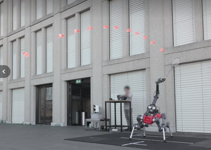 Mặc dù, con robot ANYmal-D hoạt động tốt trong các màn trình diễn thử nghiệm này, nhưng nó gặp khó khăn khi đối mặt với những cú đánh nhanh hoặc mạnh, như đập mạnh quả cầu lông chẳng hạn. Ảnh: @ETH Zurich.