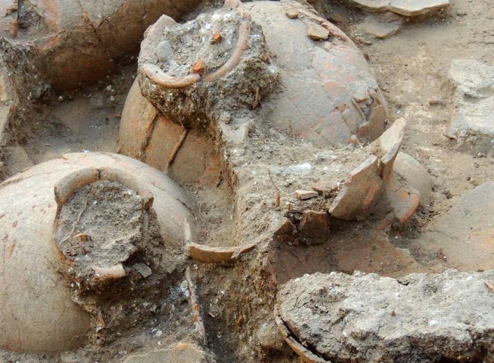 Đó là một hầm rượu vang Canaanite hoàng gia, ước tính có niên đại khoảng 3.700 năm tuổi. Ảnh: @Đại học Brandeis.