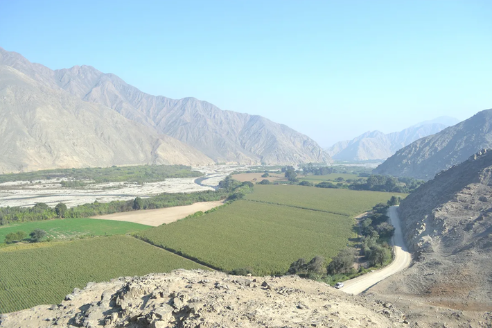 Thung lũng Chincha, Peru từng là nơi sinh sống của Vương quốc Chincha phức tạp từ năm 1.000-1.400 Sau Công nguyên. Họ đã thiết lập liên minh với Đế chế Inca và cuối cùng đã hợp nhất vào đó. Ảnh: @Đại học East Anglia.