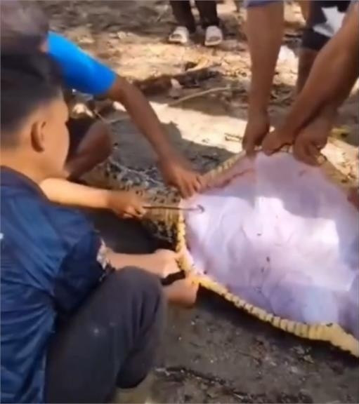 Cảnh tượng khi dân làng tìm thấy và mổ bụng con trăn để đưa thi thể ra ngoài đã được ghi lại, phơi bày một trong những nỗi sợ hãi nguyên thủy nhất của con người trước thiên nhiên hoang dã.