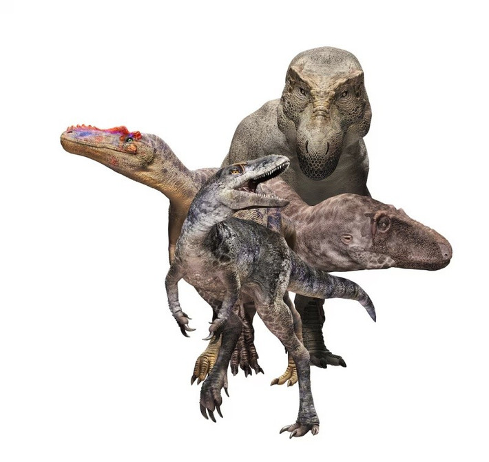 Giáo sư Zelenitsky ước tính Khankhuuluu mongoliensis có trọng lượng khoảng 750 kg. Con số này tương phản rõ rệt với một con T-Rex trưởng thành, có thể nặng tới 8 lần con số đó. Vì vậy, bà giải thích, đây là một hóa thạch chuyển tiếp nằm giữa tổ tiên ban đầu và những loài khủng long bạo chúa khổng lồ sau này. Phát hiện này giúp các nhà khoa học chỉnh sửa cây phả hệ của họ khủng long bạo chúa và viết lại nhận thức về sự tiến hóa của chúng.