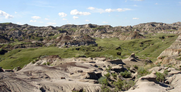 Và gần đây, khi tiến hành khai quật tại Công viên Khủng long ở Alberta, Canada, các nhà cổ sinh vật học đến từ Bảo tàng Cổ sinh vật học Hoàng gia Tyrrell, Đại học Reading và Đại học New England đã phát hiện ra một thứ kỳ lạ. Ảnh: @Bảo tàng Cổ sinh vật học Hoàng gia Tyrrell.