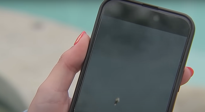 Colleen McCormack còn chia sẻ với kênh WFXT-TV rằng: "Tôi thậm chí không biết đó là vật thể gì". Ảnh: @kênh WHDH-TV