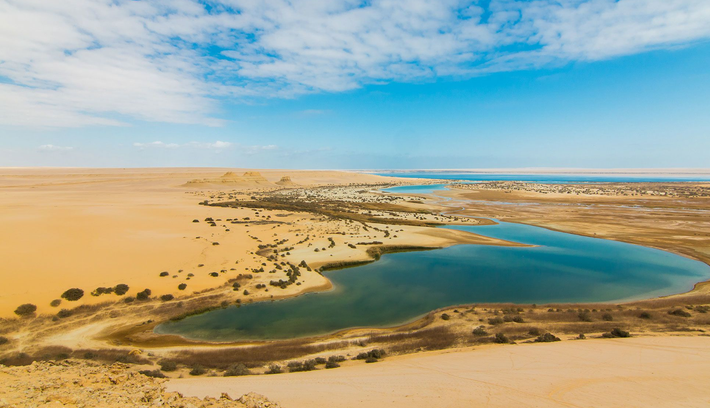 Ốc đảo Faiyum là một vùng trũng trong sa mạc, phía tây sông Nile, hoặc chỉ cách Cairo, Ai Cập 100 km về phía nam. Nơi đây chứa tàn tích của nhiều ngôi làng cổ, thành phố Ai Cập cổ đại và cả Crocodilopolis/Arsinoe - nơi được dành riêng cho thần cá sấu Sobek. Ảnh: @Trips In Egypt.