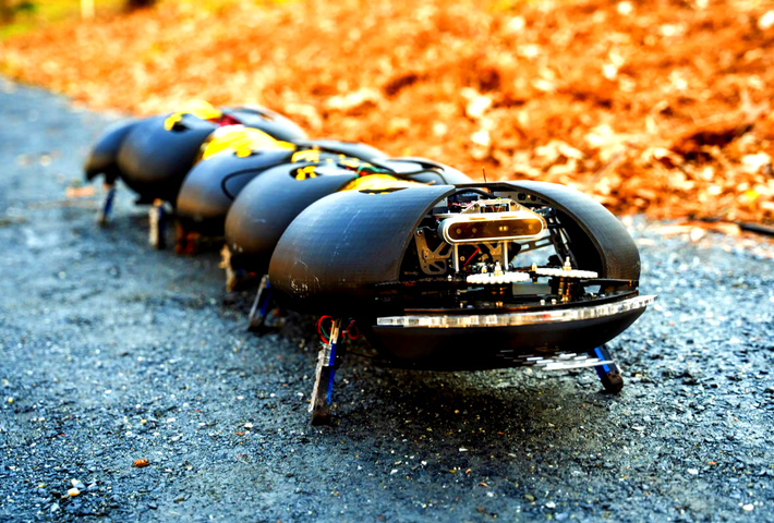“Chúng tôi muốn đưa rết robot đến gần các cánh đồng nhất có thể. Và chúng tôi không muốn một cỗ máy quá to lớn, cồng kềnh phá hủy những cánh đồng này”, Goldman cho biết. Ảnh: @Ground Control Robotics.