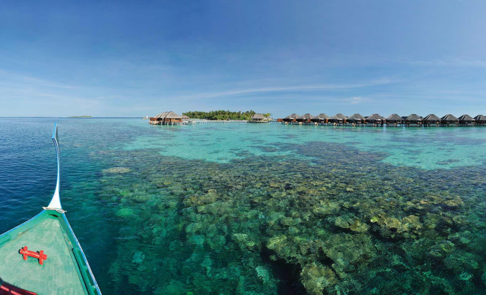 Ở vùng biển Ấn Độ Dương gần đảo Sainte Marie, ngoài khơi bờ biển phía đông Madagascar, nhà thám hiểm Barry Clifford phát hiện ra một xác tàu đắm. Ảnh: @Barry Clifford.