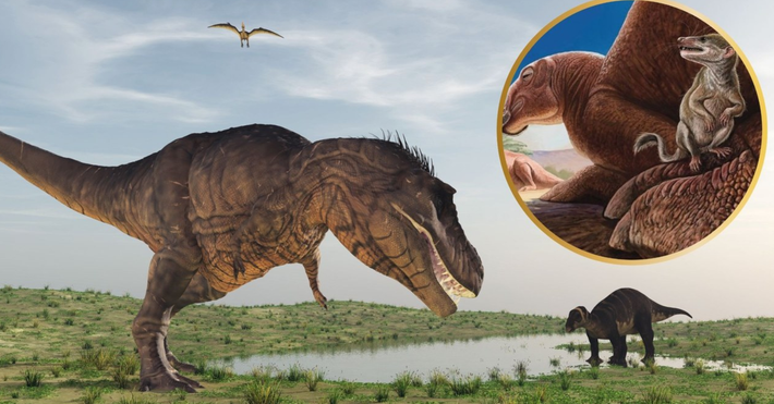Phân tích cho thấy, mẫu hóa thạch này thuộc về một loài động vật có vú cổ xưa chưa từng được biết đến, đã lang thang trên Trái Đất vào thời kỳ Kỷ Phấn trắng, cách đây khoảng 90 triệu năm trước, nó được đặt tên là Ravjaa ishiii. Ảnh: @Tsukasa Okoshi.