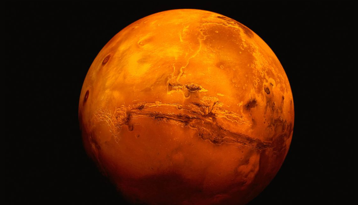Trong bộ phim The Martian, phi hành gia Mark Watney (do diễn viên Matt Damon thủ vai) đã sống sót, sau khi bị mắc kẹt trên Hành tinh Đỏ, bằng cách trồng khoai tây trên đất sao Hỏa được bón bằng phân. Ảnh: @ Simple Wikipedia.