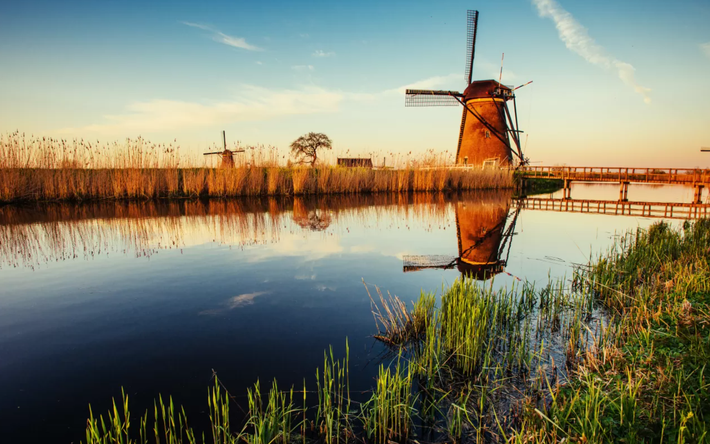 Trong quá trình nạo vét định kỳ trên sông Korte Linschoten gần Montfoort, tỉnh Utrecht, Hà Lan, người dân địa phương bất ngờ tìm thấy một vật thể lạ nằm dưới bùn. Ngay lập tức, họ trình báo sự việc đến Khoa Khảo Cổ Học của trường Đại học Leiden. Ảnh: @Đại học Leiden.