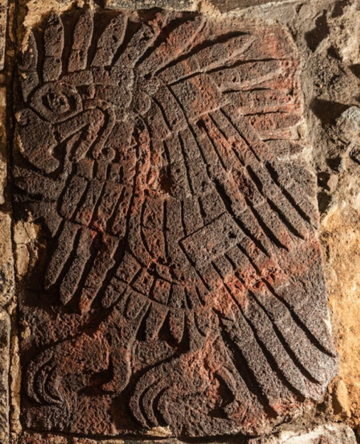 Được chạm khắc trên sàn đền Templo Mayor lát bằng đá tezontle đỏ (một loại đá xốp núi lửa đỏ thường được sử dụng để xây dựng ở Mexico), bức phù điêu này dài 1,06 mét, rộng 70 cm, và là bức phù điêu lớn nhất được tìm thấy cho đến nay tại Templo Mayor. Ảnh: @INAH.