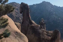 Tảng đá hình ngựa trên núi Đại Chu hút du khách check-in