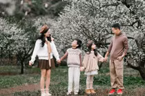 Hoa mận trắng đồi Mộc Châu, mùa 'hốt bạc' cho nhiếp ảnh gia