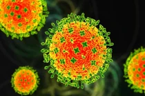 Ổ dịch virus Nipah xuất hiện tại Ấn Độ, một số nước châu Á nâng mức cảnh báo