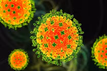 Ổ dịch virus Nipah xuất hiện tại Ấn Độ, một số nước châu Á nâng mức cảnh báo