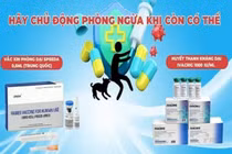Khi bị chó, mèo cắn tiêm phòng dại thế nào cho đúng?