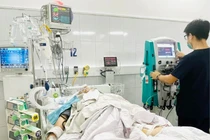 Cứu sống người đàn ông ở Đà Nẵng nguy kịch vì rắn hoa cổ đỏ cắn