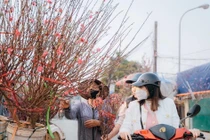 Dự báo thời tiết 14/2: Miền Bắc nắng ấm trước khi chuyển mưa rét