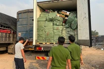 TP HCM phát hiện 28,8 tấn thực phẩm đông lạnh không rõ nguồn gốc