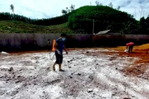 Phát hiện 100 tấn thịt heo cấp đông không rõ nguồn gốc, bốc mùi