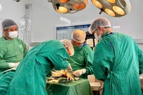 Phẫu thuật nối nửa bàn tay đứt rời do máy cắt tôn