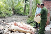 Phát hiện lượng lớn thịt heo bốc mùi hôi thối trong lò mổ ở Vĩnh Long