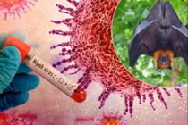 Hỏa tốc chỉ đạo cách ly nghiêm ngặt các trường hợp nghi ngờ mắc virus Nipah