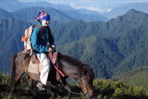 Cưỡi ngựa giữa biển mây Tà Chì Nhù, trải nghiệm độc đáo của Tây Bắc