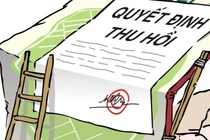 Thu hồi Giấy chứng nhận kinh doanh dược của Hóa dược Quốc tế Phương Nam