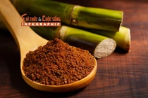 [INFOGRAPHIC] Tác dụng của đường đen