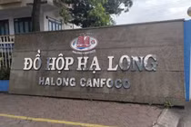 Ăn đồ hộp làm từ thịt lợn nhiễm dịch tả châu Phi nguy hiểm thế nào?