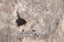 Bí ẩn thủy quái khổng lồ mới lộ diện ở Cuba