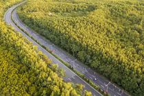 Vì sao TP HCM ưu tiên phủ xe điện ở Cần Giờ, Côn Đảo?