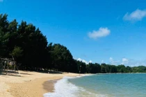 5 bãi biển ở miền Bắc tuyệt đẹp, thích hợp du lịch hè 2025