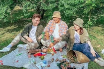 Đến Mộc Châu mùa hái mận, chọn tour thế nào?