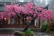 Tiết Xuân phân, tránh làm 4 điều, cả năm may mắn, vàng bạc tràn vào nhà