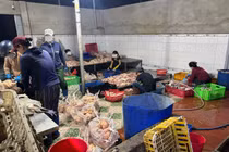 Tạm giữ 10 tấn gia cầm vi phạm an toàn thực phẩm ở Khánh Hòa