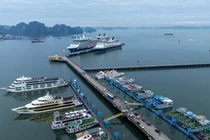 Quảng Ninh cấm biển ứng phó bão số 11 Matmo